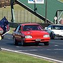 Easter Sprint Pukekohe