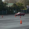 Motorkhana Ellerslie